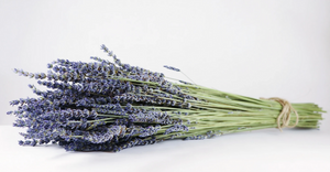 LOCAL: Dried Lavender from Kelso Lavender Milton