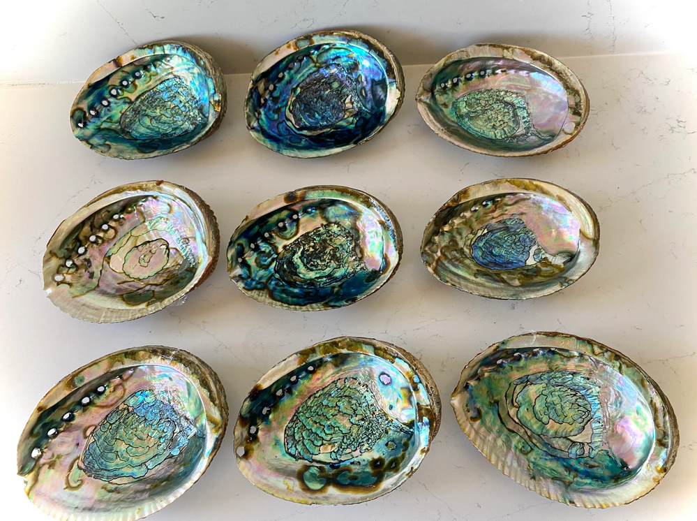 Abalone Shell Smudge Bowls