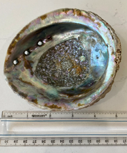 Load image into Gallery viewer, Abalone Shell Smudge Bowls