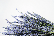 Load image into Gallery viewer, LOCAL: Dried Lavender from Kelso Lavender Milton