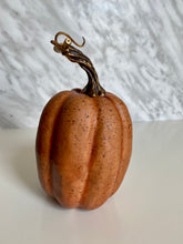 Load image into Gallery viewer, Decorative speckled pumpkins