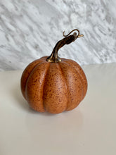 Load image into Gallery viewer, Decorative speckled pumpkins